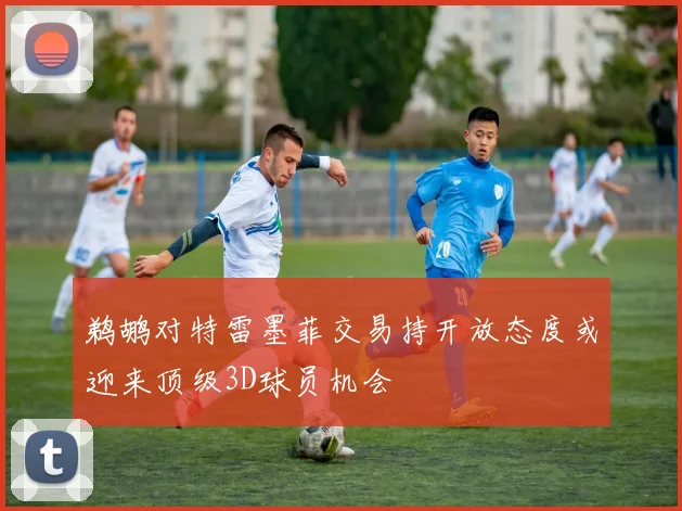 鹈鹕对特雷墨菲交易持开放态度或迎来顶级3D球员机会